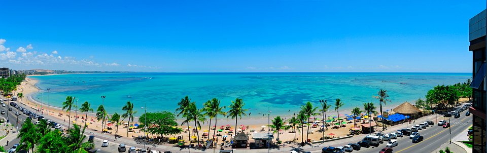 Let us help to organize